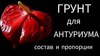 ГРУНТ для Антуриума. СОСТАВ и ПРОПОРЦИИ.