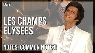 How to play Les Champs Elysees by Joe Dassin on Tin Whistle (Tutorial)