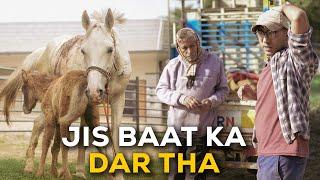 Jo koi nahi chahta thaa wahi hua | Horse rescue story