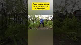 Здоровье ваших суставов  #shorts #shortsvideo #здоровье #полезныепродукты #суставыболят