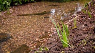 Lyme Brook - Road To Recovery Part I