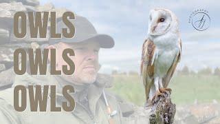 Photographing ALL 5 UK OWL species in 48 Hours? || Peak District || Sony A1 || 4K