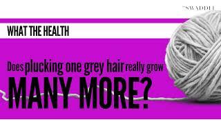 Does Plucking One Grey Hair Really Grow Many More?