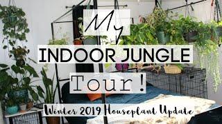 Houseplant Tour | Winter 2019 Houseplant Jungle Tour!