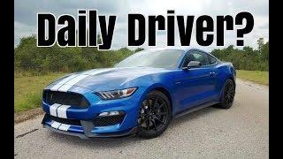 Can You Daily Drive A Shelby GT350?