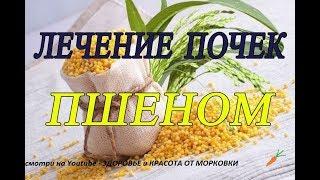 ЛЕЧЕНИЕ ПОЧЕК ПШЕНОМ