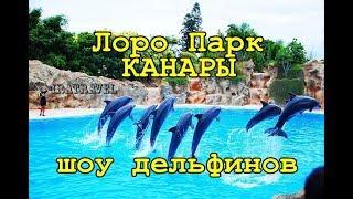 LORO PARK AT TENERIFE. CANARY ISLANDS. SHOW DOLPHINS.