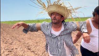 Callo en la broma del espanta pájaros.