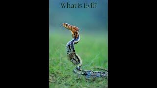 Why is there evil and what is it?