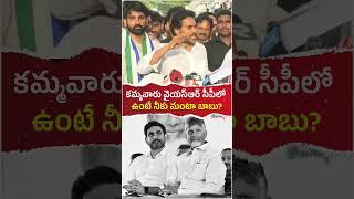 కమ్మవారు వైయస్ఆర్ సీపీలో ఉంటే నీకు మంటా బాబు? #andhrapradesh #politics #ysrcp #ysjagan #ytshorts