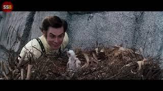 Ace Ventura: When Nature Calls (1995) Full Movie