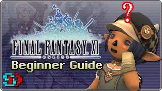 The Beginner's Guide to Final Fantasy XI - Gaining Experience