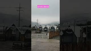 #횡성보리캠핑장 수도권애견캠핑장 경기도근교애견캠핑장 #강원도애견캠핑장 #영흥도애견펜션