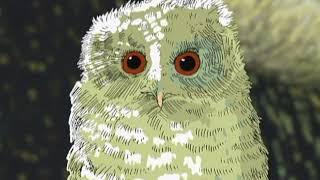 Owl Babies (Channel 4)