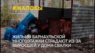 Жильцы барнаульской многоэтажки страдают из-за свалки у дома