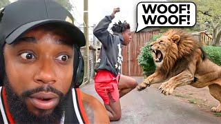 When Streamers Get ATTACKED By Animals..