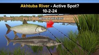 Russian Fishing 4, Akhtuba River - Is it Active? 10-2-24