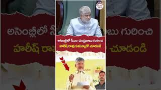 BRS MLA Harish Rao About AP CM Chandrababu | #cmrevanthreddy | #yuvagalam | #ytshorts | #shorts