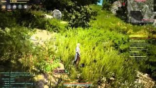 Black Desert RUS - truffle locations 10/10