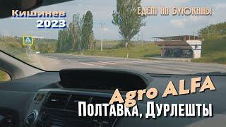 Молдова Кишинев 2023, Agro ALFA, Полтавское шоссе, Дурлешты, Проспект Энгельса, Алба Юлия