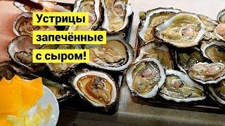 Устричные россыпи посреди ночи! Собираю дары моря на отливе