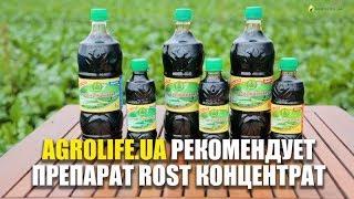 Универсальное удобрение ROST Концентрат: описание, цена, характеристики | Agrolife.ua рекомендует