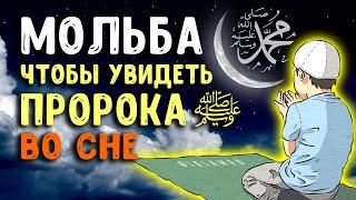 Молитва, чтобы увидеть Пророка ﷺ во сне