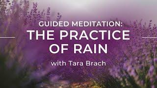 Guided Meditation: The Practice of RAIN with Tara Brach