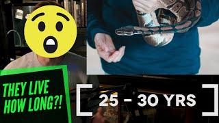 Lifespan of a Pet Snake (They Live HOW LONG?!)