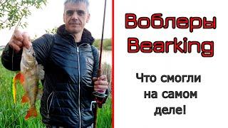 Воблеры #Bearking. Знакомство. Рыбалка. Равномерка против твичинга.