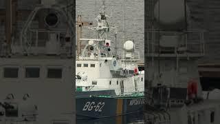 Russian ship 205P "Tarantul" sank in Sevastopol