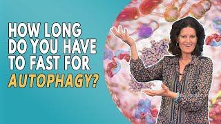 The Insane Benefits of Autophagy! - How To Slow Aging & Repair The Body | Dr. Mindy Pelz