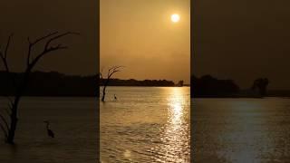 Lake Tawakoni State Park – Hidden Nature Spot Near Dallas!  || Part 2 #travel #lake #vlog #texas