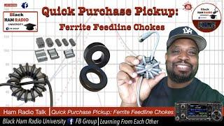 Quick Purchase Pickup: Ferrite Feedline Chokes