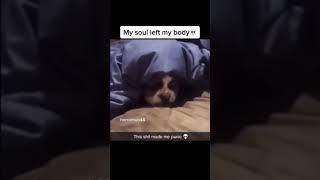 My soul left my body #shorts