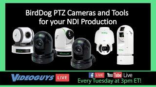 BirdDog PTZ Cameras and Tools for your NDI Production​