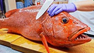 Amazing Skill！Fish Cutting Skills, Various Fish Catch, Sashimi
