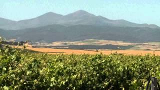 Cune Reserva, the history of the wine