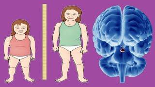 Growth Hormone Deficiency: Symptoms And Treatment