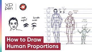 How to Draw Human Proportions