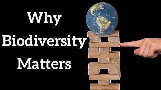 Why Biodiversity Matters with @Ecotasia