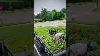 Storm Damage Cleanup | Dowco Restores Order After the Storm