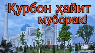 Қурбон ҳайит муборак | - Qurbon hayit muborak. Курбон хайит муборак. Арафа куни муборак!