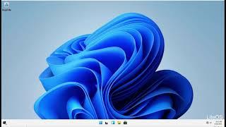 Windows 11 Pro - LiteOS [Build 22000.51]