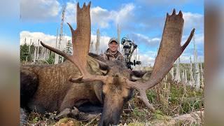 Archery Hunting for Moose in Newfoundland | Canada in the Rough