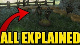 HOW to TAME GOAT to GET FRIZZY GOAT MILK and MILK in ENSHROUDED