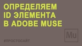 Как определит ID элемента на Adobe Muse сайте?