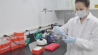 Real Experience. Real Success. –College of Science, Technology, and Health at Lindenwood University