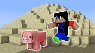 When Pigs Fly Animated | Minecart Animation