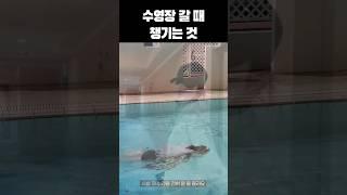 비키니 vs 유교걸 [프로미스나인] 송하영
